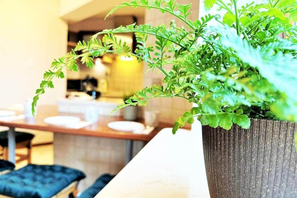 Exclusive Penthouse Near Citycenter 120M2 +Netflix Krakow Bagian luar foto
